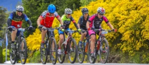 cuatro estaciones primavera